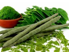 Top 10 Benefits of Moringa Oleifera