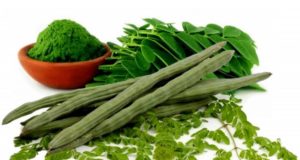 Top 10 Benefits of Moringa Oleifera