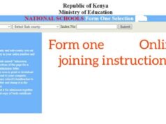 How to download form one 2021 admission letter