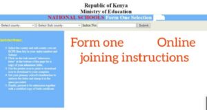 How to download form one 2021 admission letter