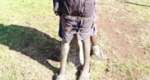 Nyahururu Teachers To Face The DCI Over Photo Of Pupils Tied To A Tree